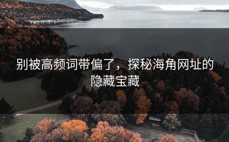 别被高频词带偏了，探秘海角网址的隐藏宝藏