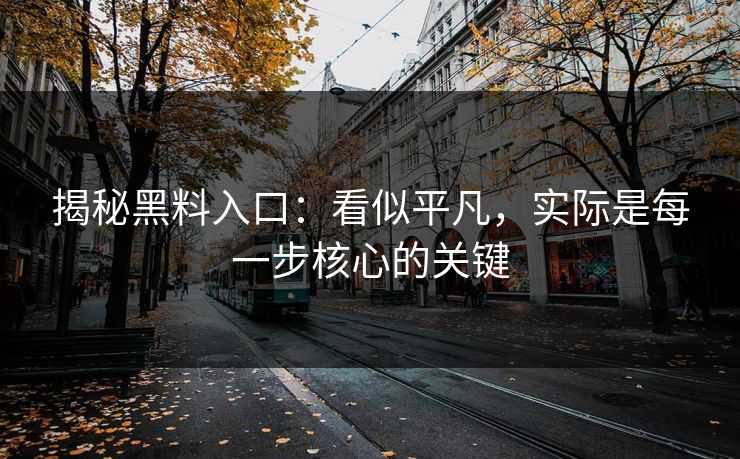揭秘黑料入口：看似平凡，实际是每一步核心的关键