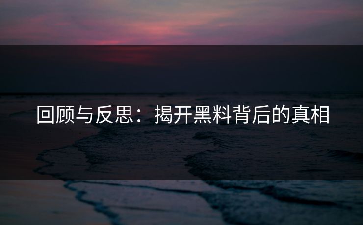 回顾与反思：揭开黑料背后的真相