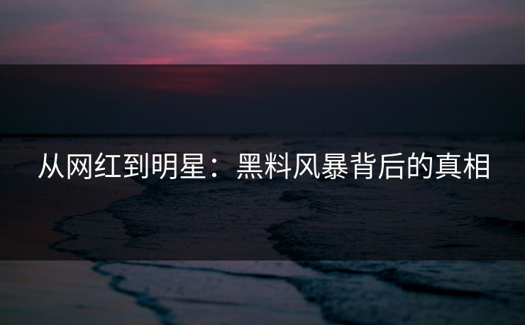 从网红到明星：黑料风暴背后的真相