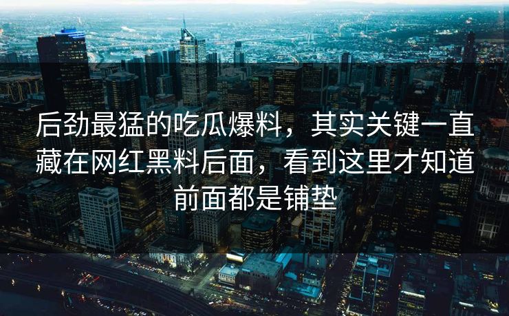 后劲最猛的吃瓜爆料，其实关键一直藏在网红黑料后面，看到这里才知道前面都是铺垫