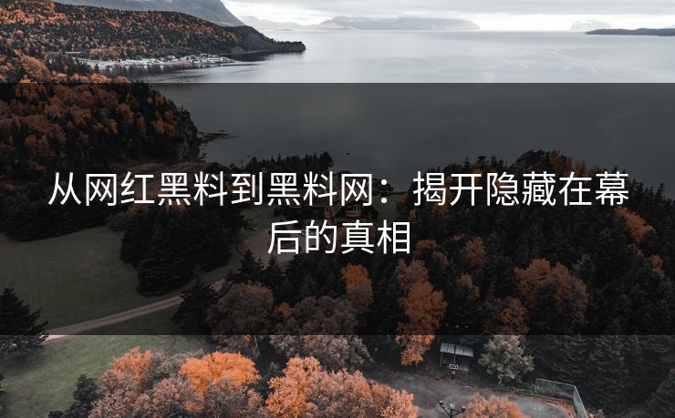 从网红黑料到黑料网：揭开隐藏在幕后的真相
